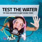 Padi Course Director - Discover Scuba Diving Cyprus