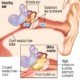 Ear Infections when diving