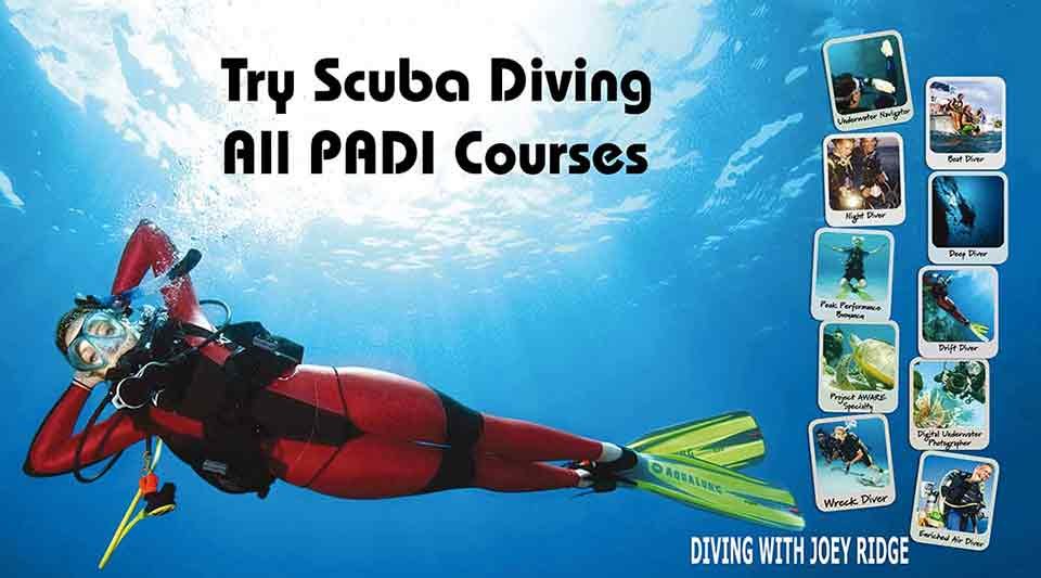 padi diving courses in cyprus